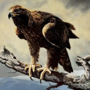 Golden Eagle 1991 W S George Fine China Charles Frace Soaring Majesty w COA